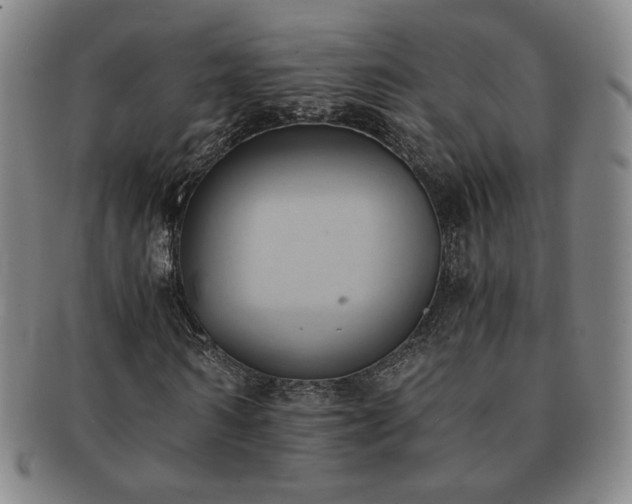 X0000091570962200708271154