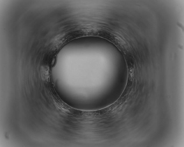 X0000091570963200708271154