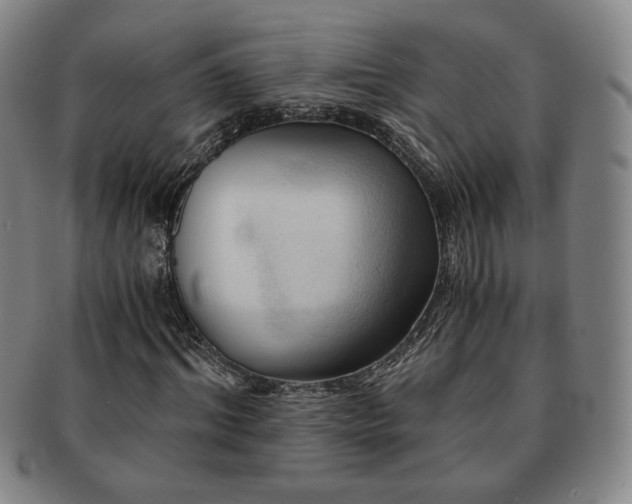 X0000091570964200708271154