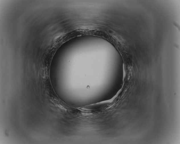 X0000091570965200708271154