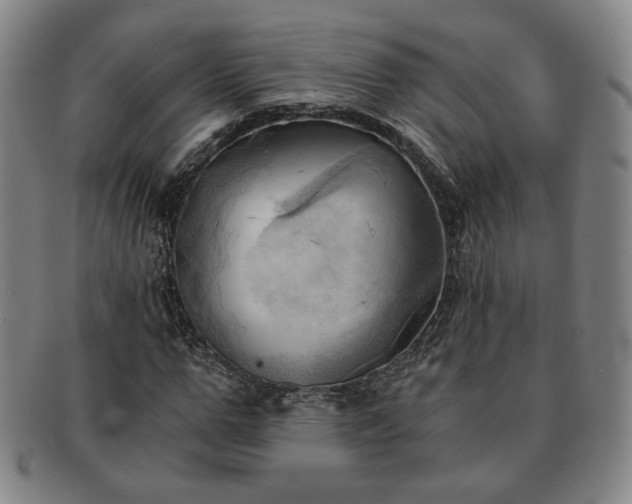 X0000091570967200708271154