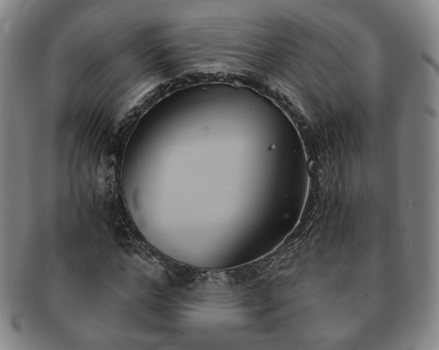 X0000091570968200708271154