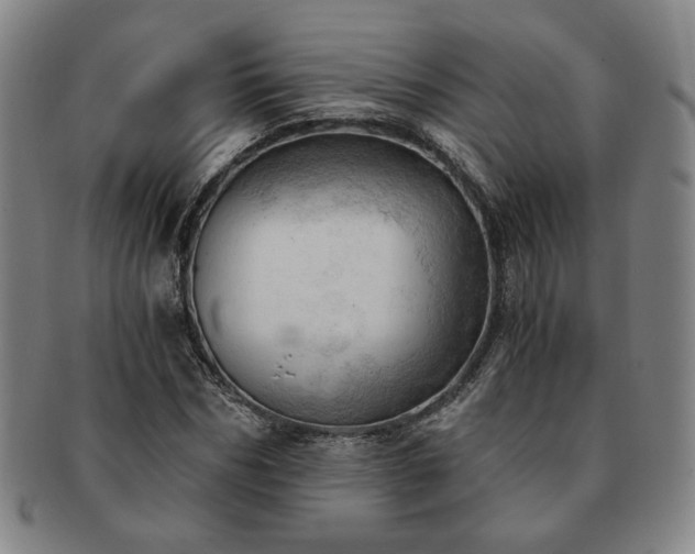 X0000091570970200708271154