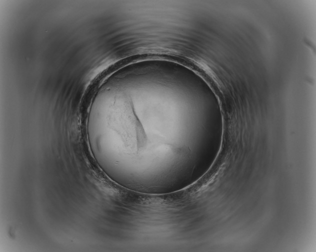 X0000091570971200708271154