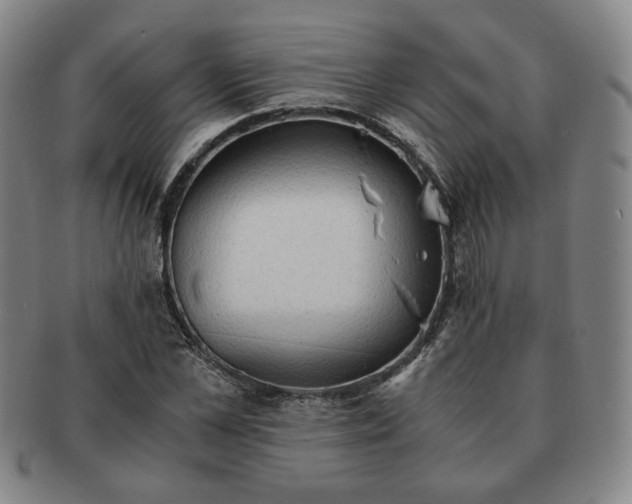 X0000091570973200708271154