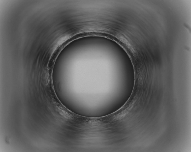 X0000091570974200708271154