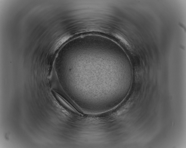 X0000091570977200708271154