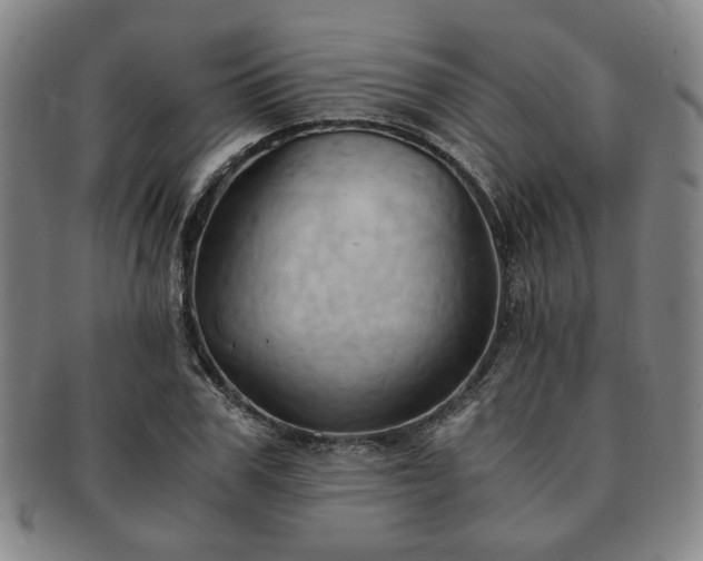 X0000091570979200708271154