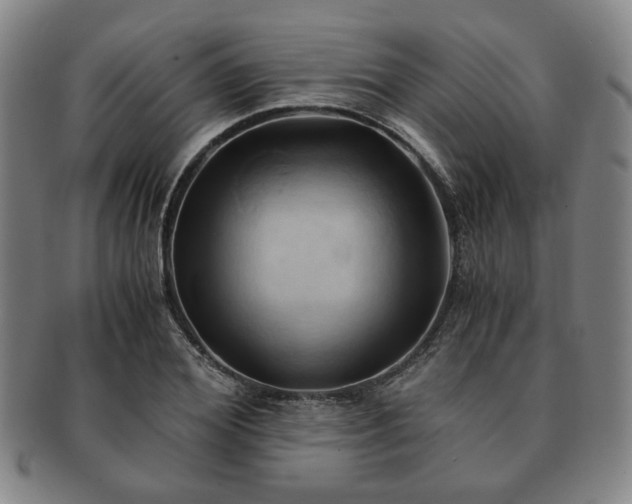 X0000091570980200708271154