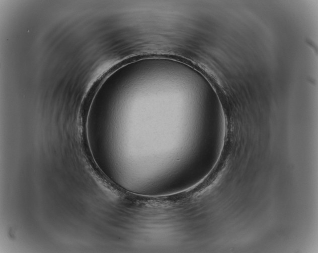 X0000091570981200708271154