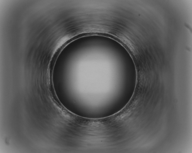 X0000091570982200708271154