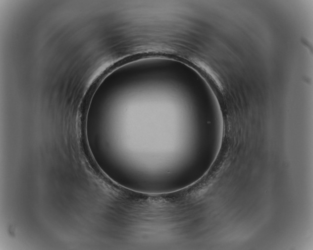 X0000091570983200708271154