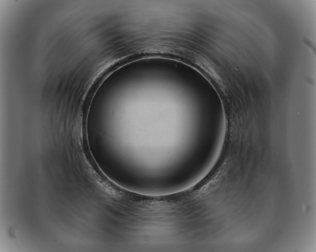 X0000091570984200708271154