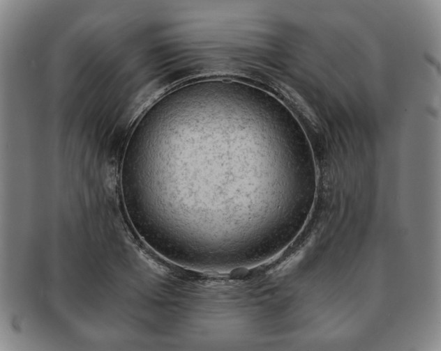X0000091570985200708271154