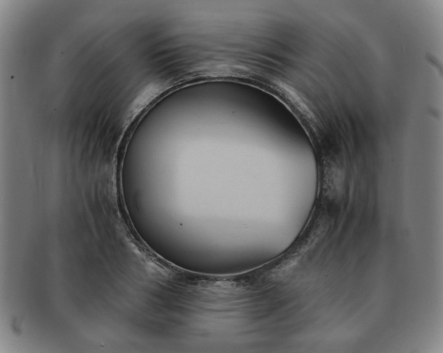 X0000091570986200708271154