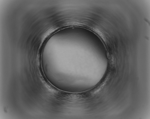 X0000091570987200708271154