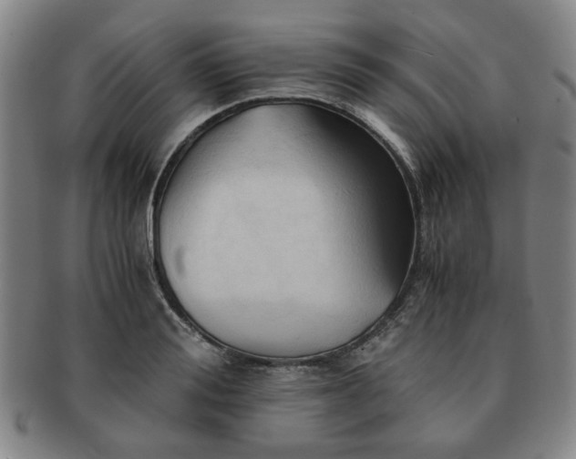 X0000091570988200708271154
