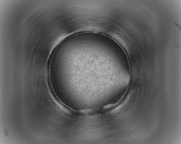 X0000091570989200708271154