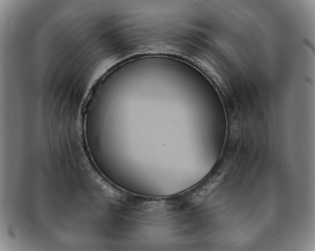 X0000091570990200708271154