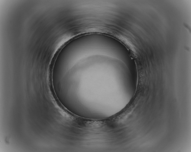 X0000091570991200708271154