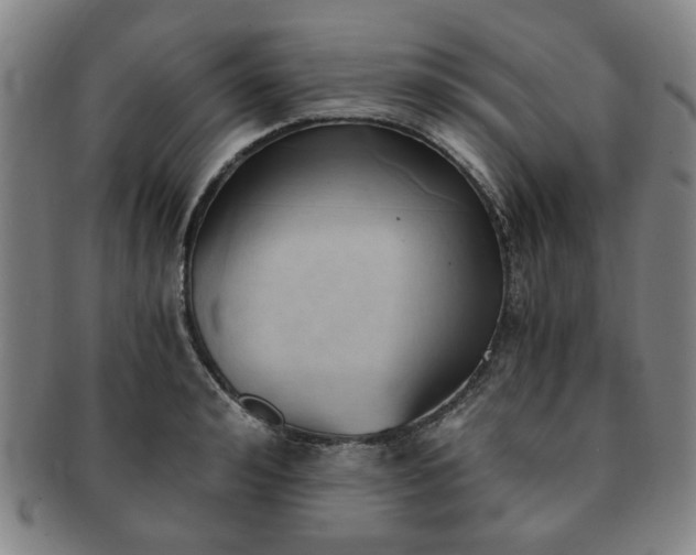 X0000091570992200708271154