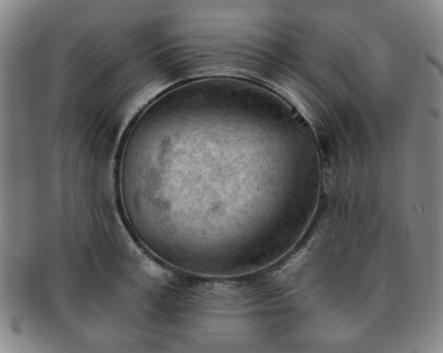 X0000091570995200708271154