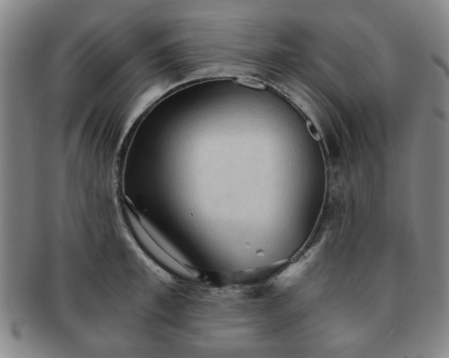 X0000091570997200708271154