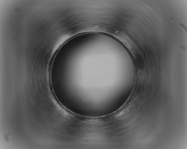 X0000091570998200708271154