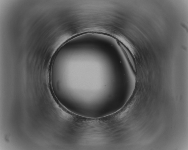 X0000091570999200708271154