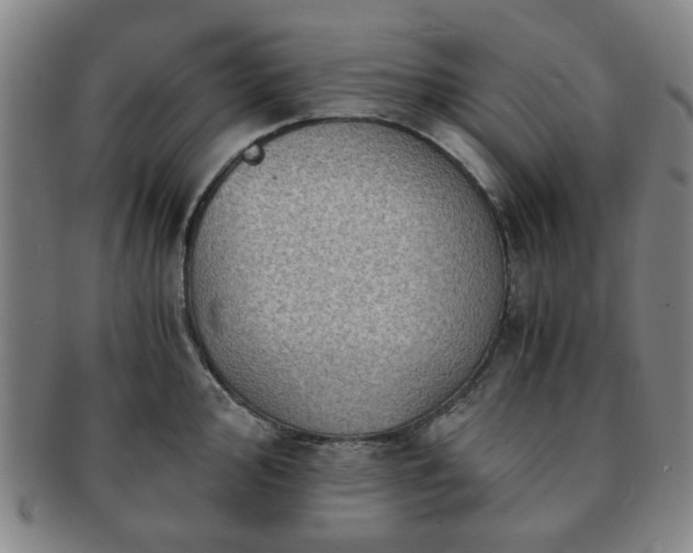 X0000091571000200708271154