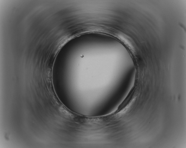 X0000091571001200708271154