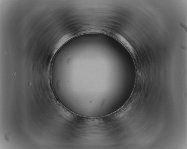 X0000091571002200708271154