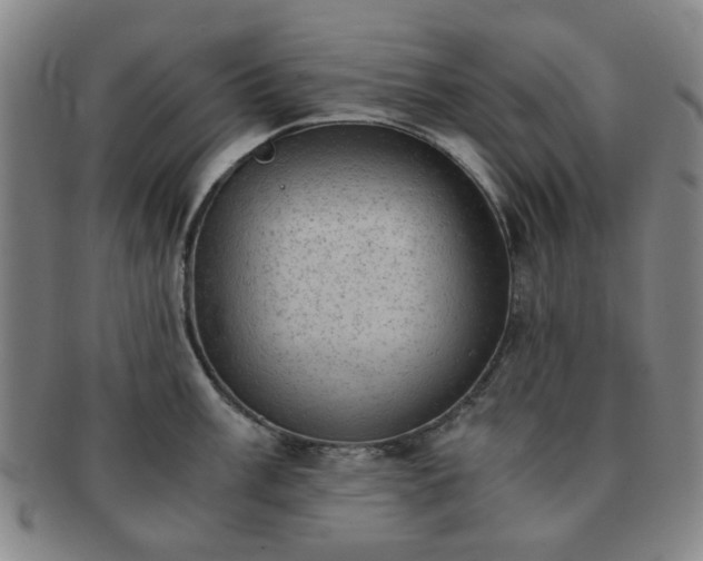 X0000091571003200708271154