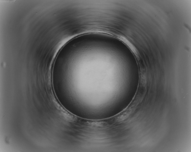 X0000091571004200708271154