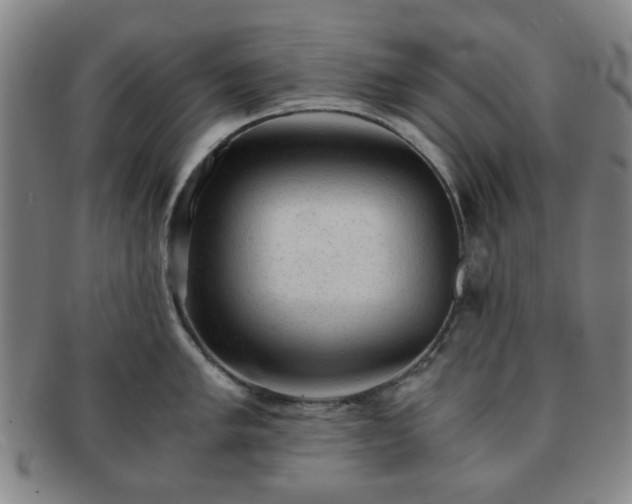 X0000091571005200708271154