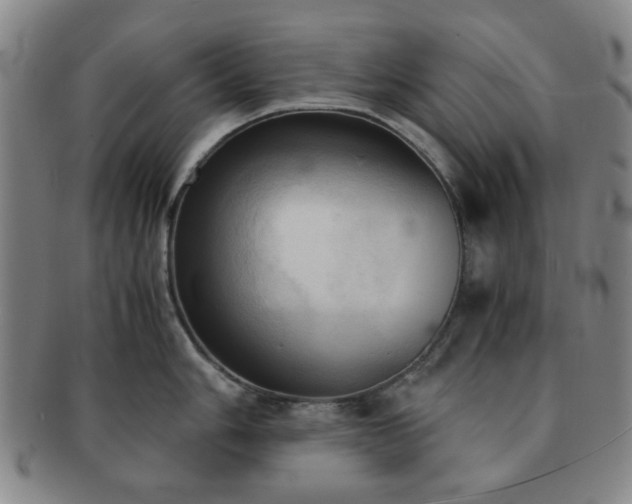 X0000091571006200708271154
