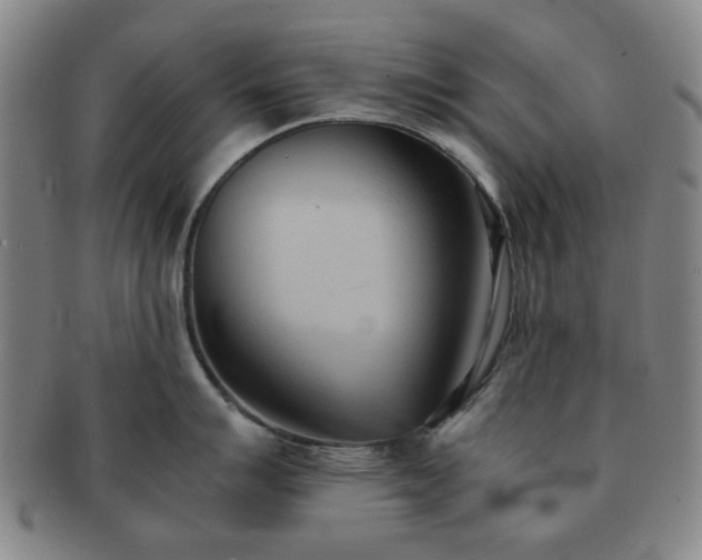X0000091571007200708271154