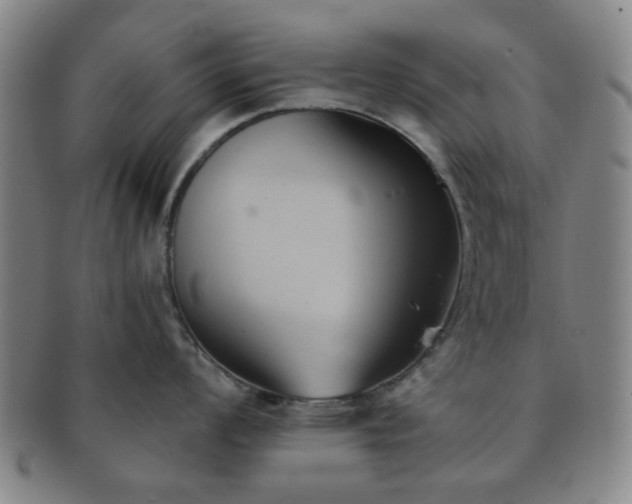X0000091571008200708271154
