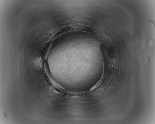 X0000091571010200708271153