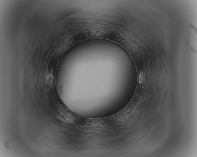 X0000091571011200708271153