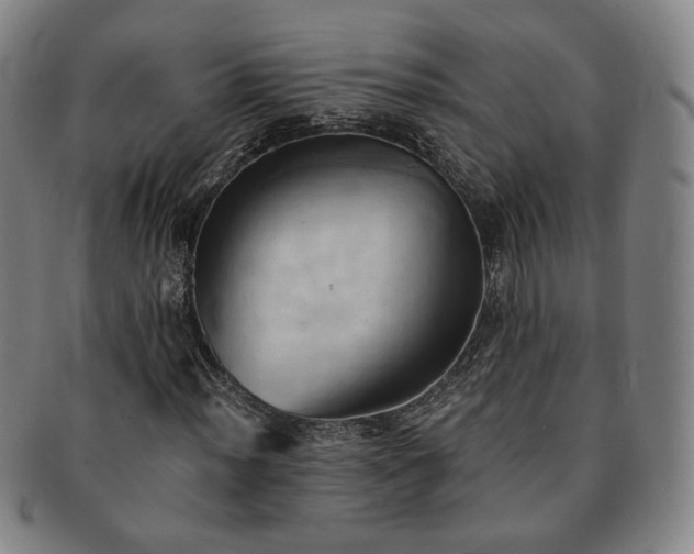 X0000091571012200708271153