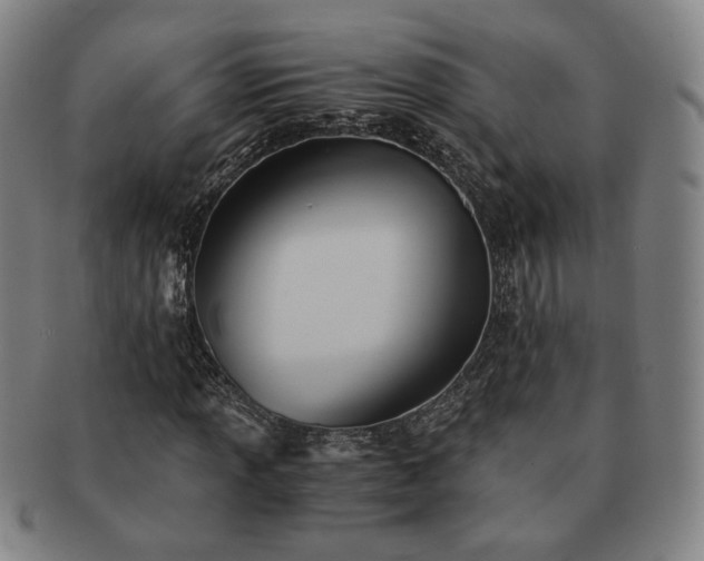 X0000091571013200708271153