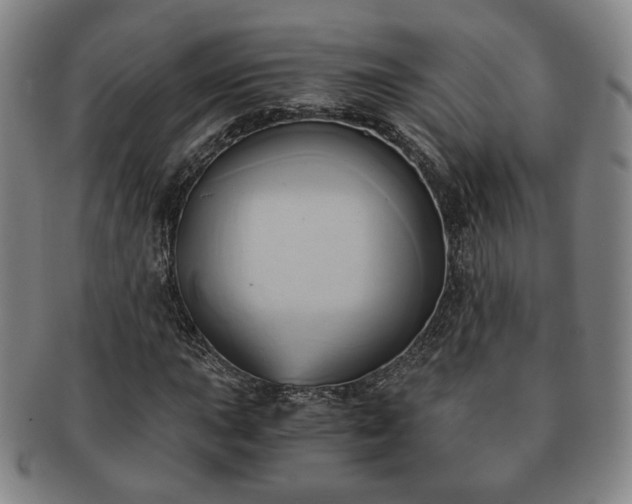 X0000091571015200708271153