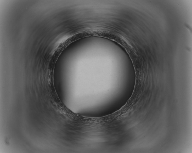 X0000091571016200708271153