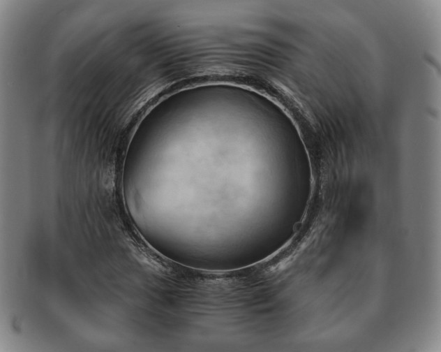 X0000091571017200708271153