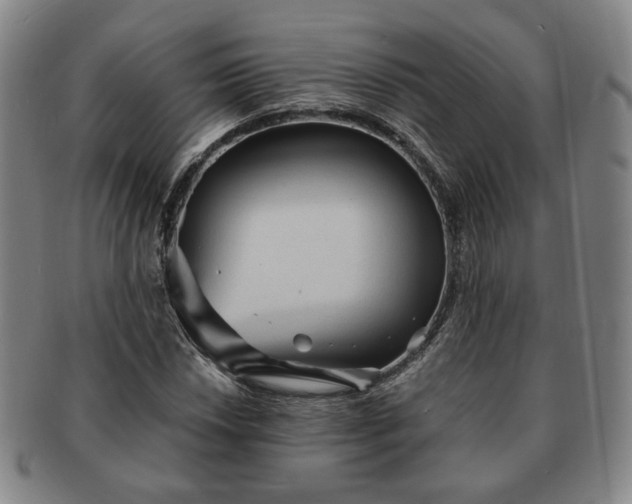 X0000091571018200708271153