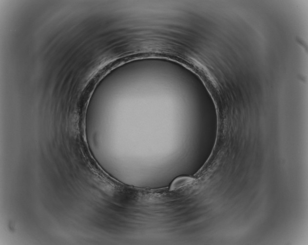 X0000091571019200708271153
