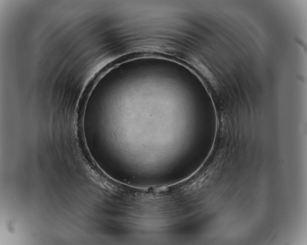 X0000091571020200708271153