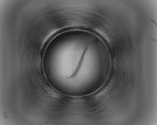 X0000091571021200708271153