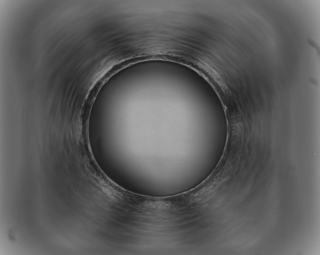 X0000091571023200708271153